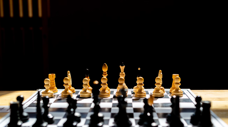 Chess Grandmasters and Card Players Share a Brain, Not a Board